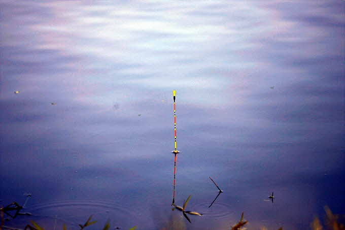 2008-11-2 082_closeup0521345.jpg