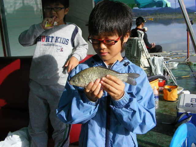 NW 498_fish_pay12334465.jpg