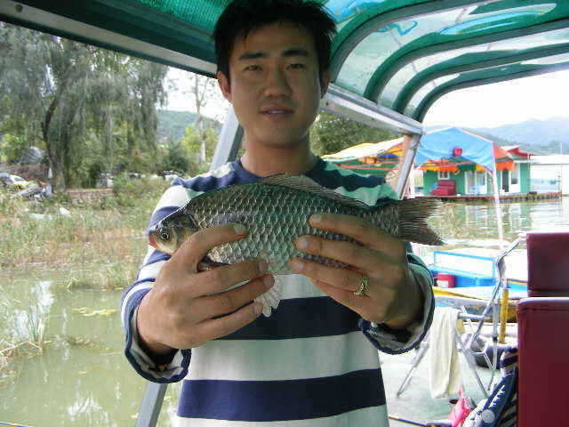 NW 642_fish_pay03063930.jpg