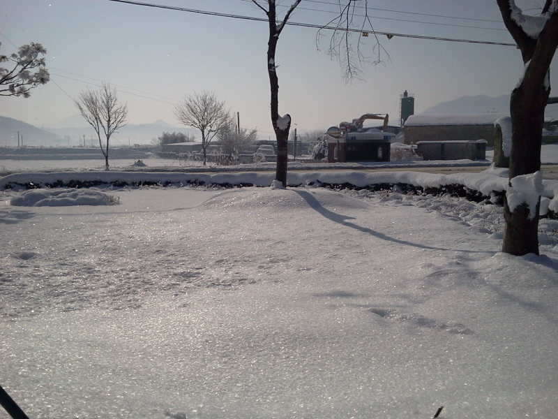 2011-01-02 11_freebd04253371.jpg