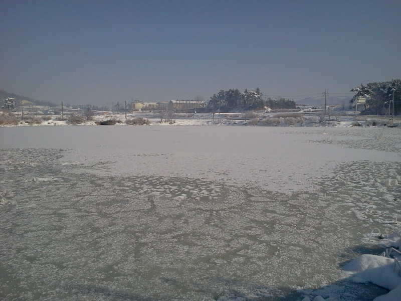 2011-01-02 11_freebd04324432.jpg