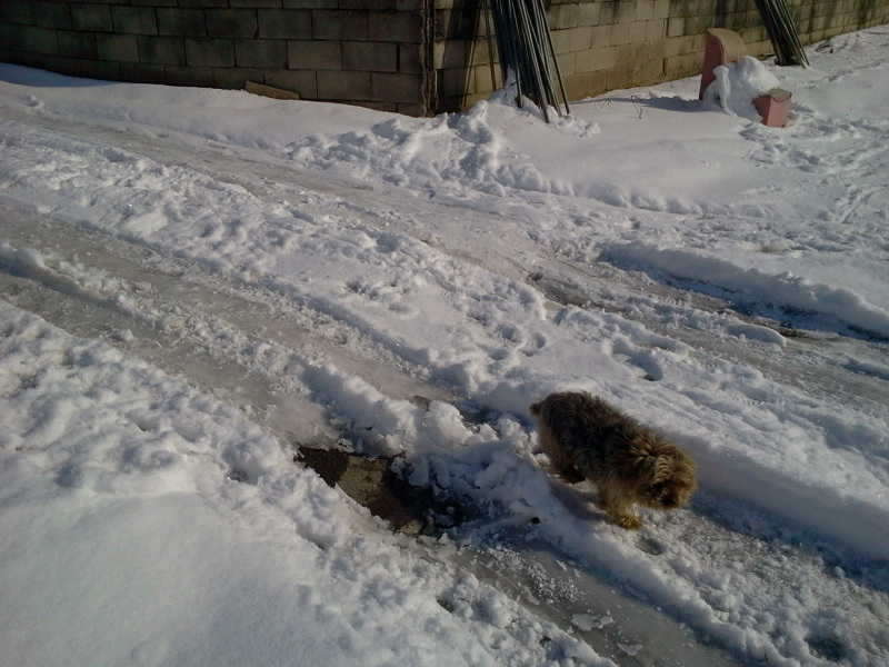 2011-01-02 11_freebd04350784.jpg