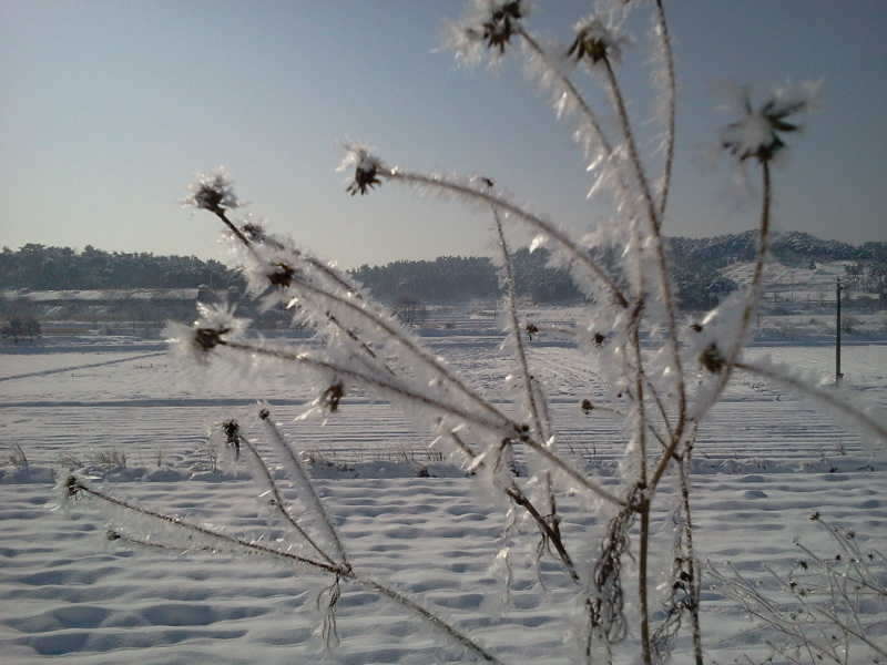 2011-01-02 11_freebd12484623.jpg