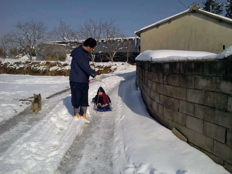 2011-01-02 11_freebd12540688.jpg