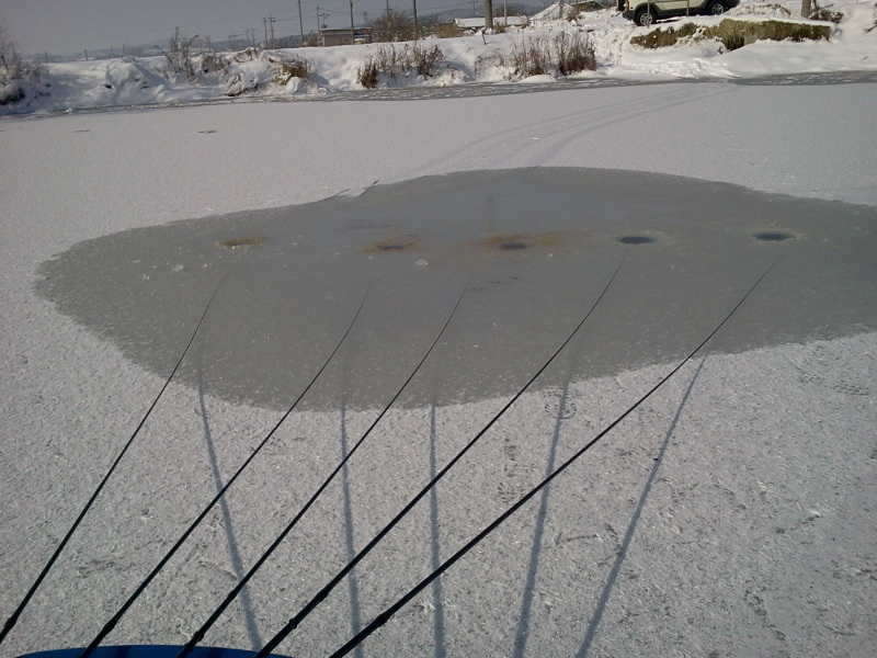 2011-01-02 12_freebd12514529.jpg
