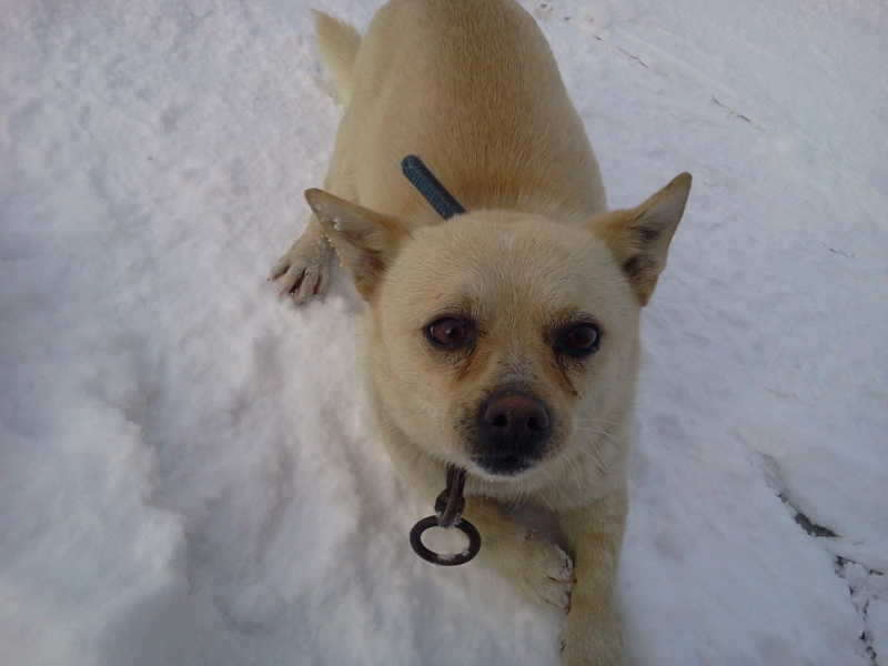 2011-01-30 15_freebd11274950.jpg