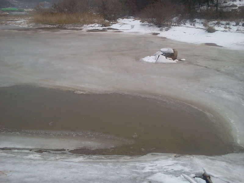 2011-02-06 13_freebd02401714.jpg