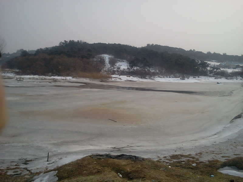 2011-02-06 14_freebd02540399.jpg