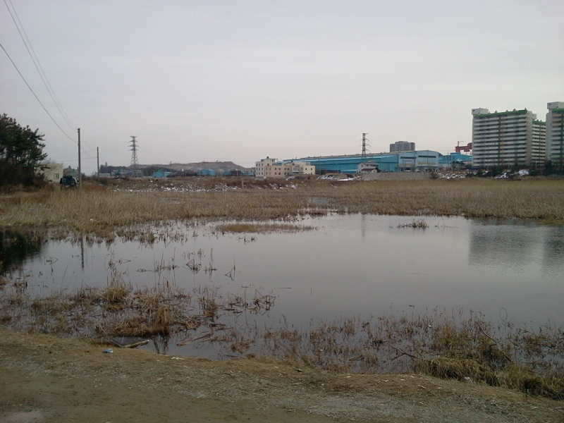 2011-02-13 16_freebd07313837.jpg