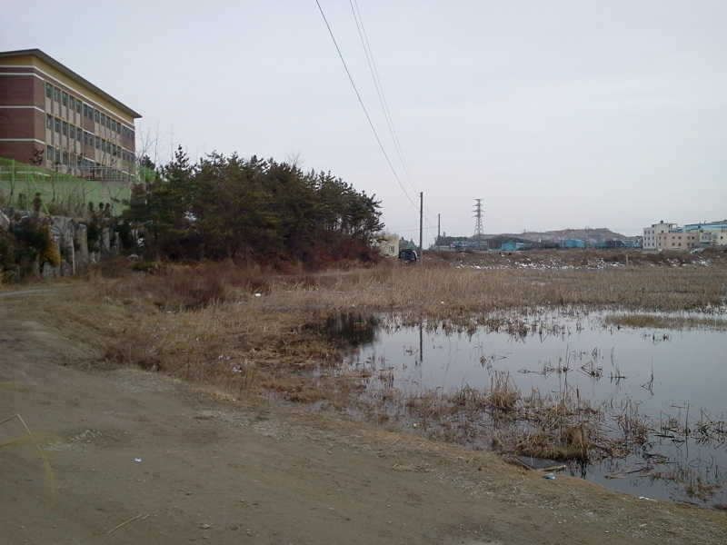 2011-02-13 16_freebd07315119.jpg