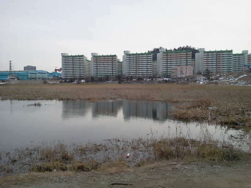 2011-02-13 16_freebd07321156.jpg
