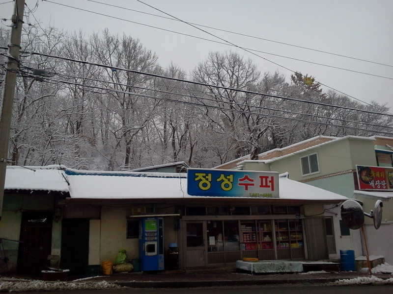 2011-02-17 08_freebd12200295.jpg