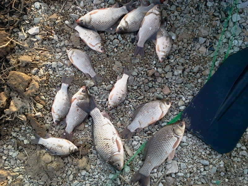 2011-02-20 17_freebd06153086.jpg