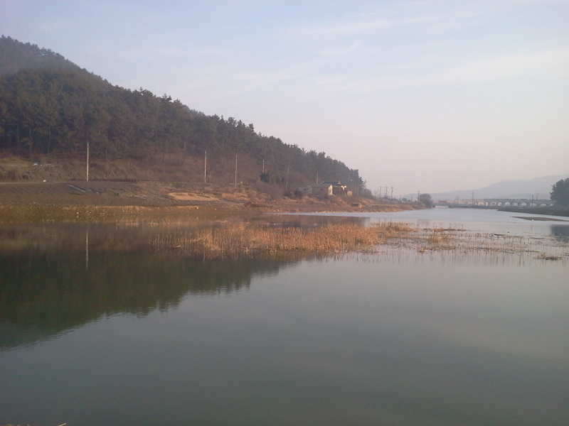 2011-02-20 17_freebd06155198.jpg