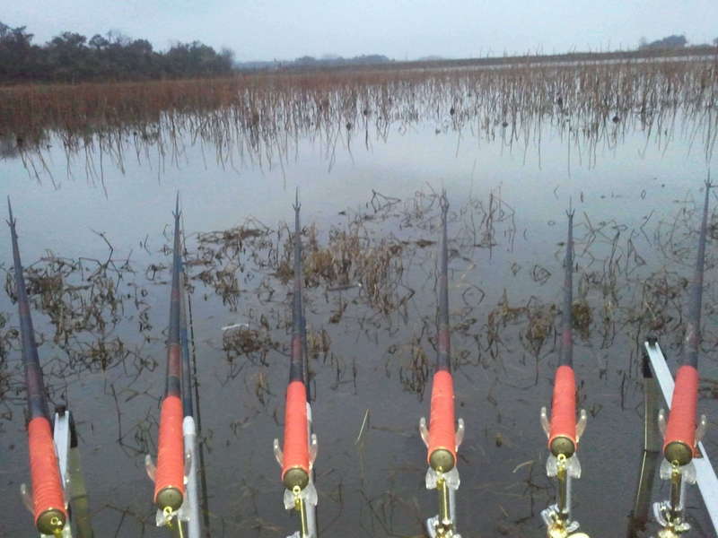 2011-02-28 18_freebd12103431.jpg