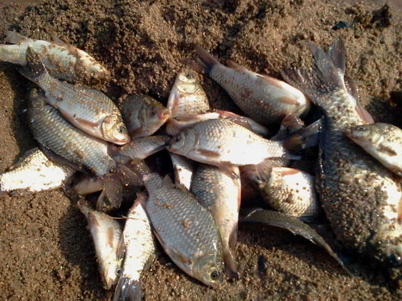 2011-03-06 15_freebd04562392.jpg