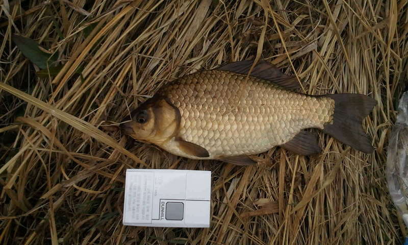 2011-04-02 08_freebd12182460.jpg