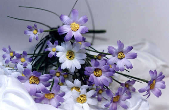 flower(4)[2]_freebd10013957.jpg
