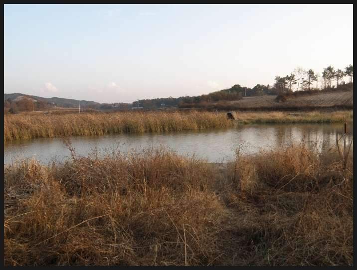 파라텐2_johwang07004939.jpg