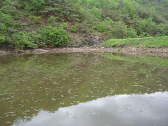 008_johwang03045211.jpg