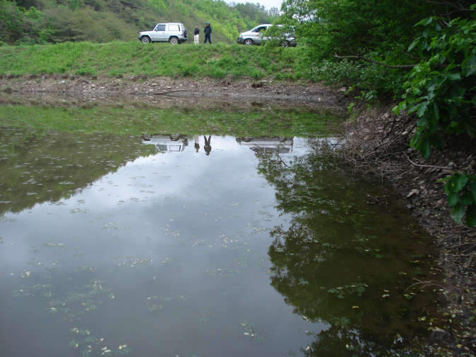 009_johwang03080883.jpg