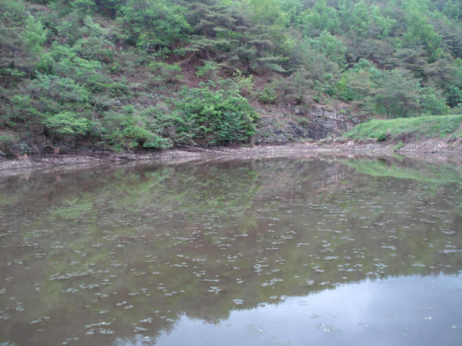 012_johwang03133294.jpg