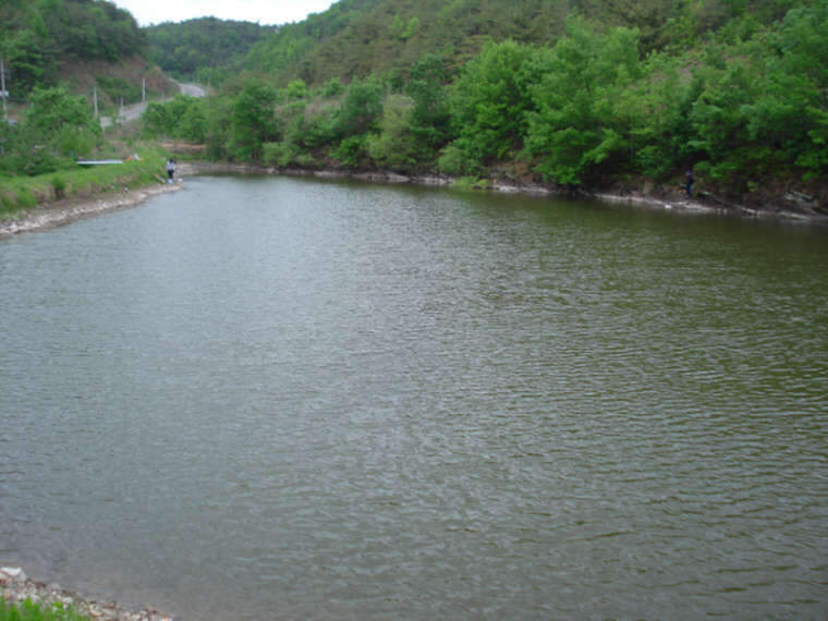 013_johwang03162150.jpg