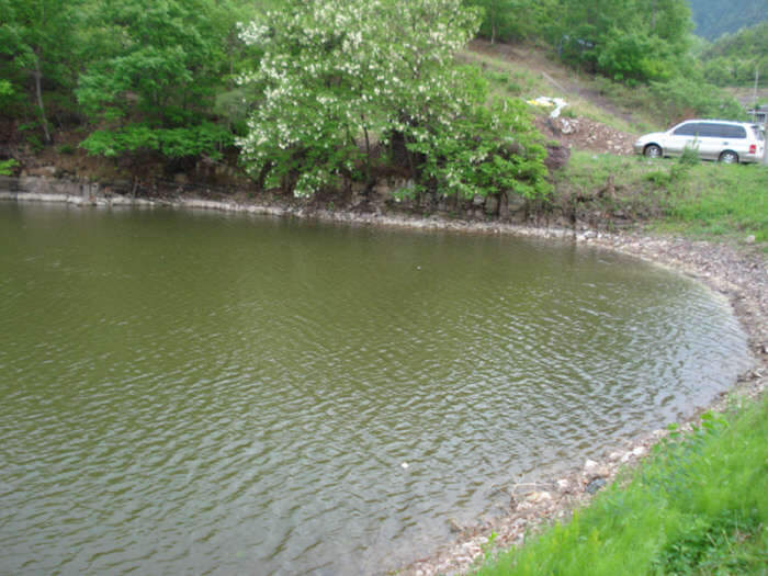 014_johwang03222510.jpg