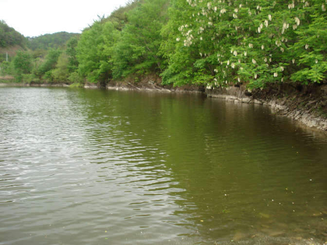 016_johwang03244760.jpg