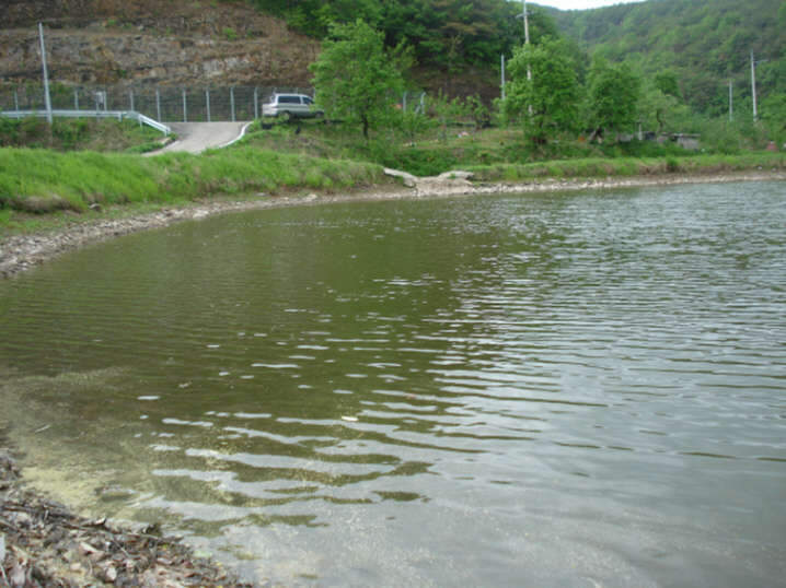 017_johwang03280243.jpg