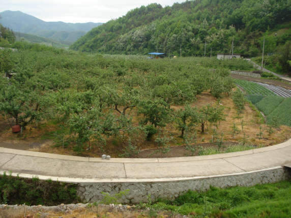 019_johwang0333102.jpg