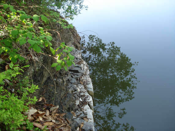 041_johwang03455528.jpg