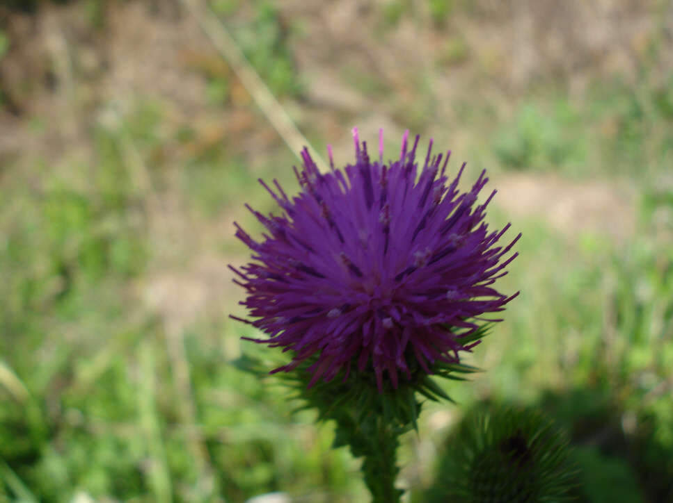 052_johwang04134154.jpg
