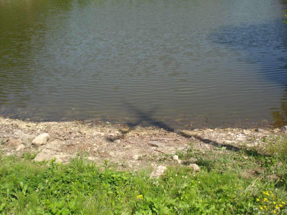 059_johwang04381899.jpg