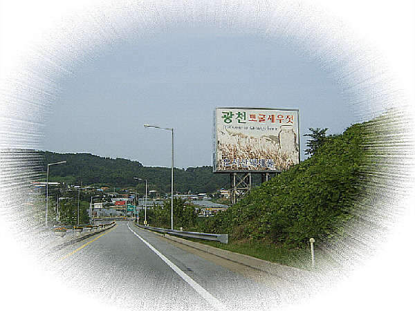 축소1경 축소1광천토굴젓_johwa