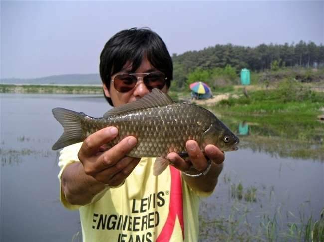 선글라스_johwang07574679.jpg