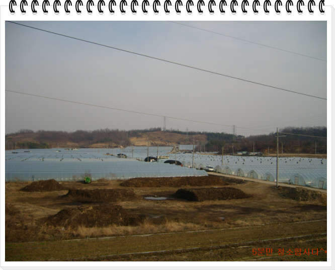 117초입길 참외하우스_johwang0858