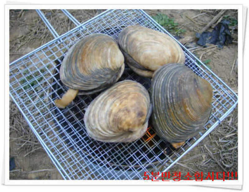 120먹거리1_johwang02223811.jpg