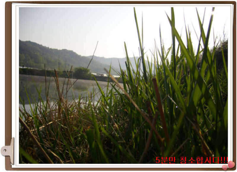 120초전지1_johwang08511037.jpg