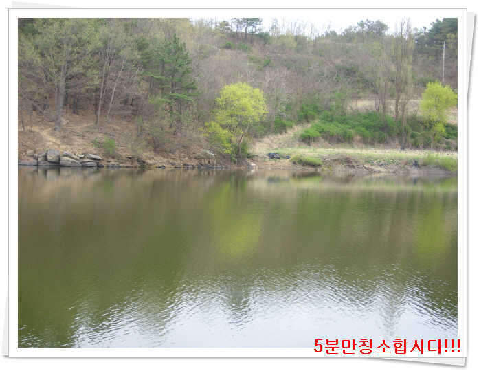 120팔등지좌안중류_johwang02193759