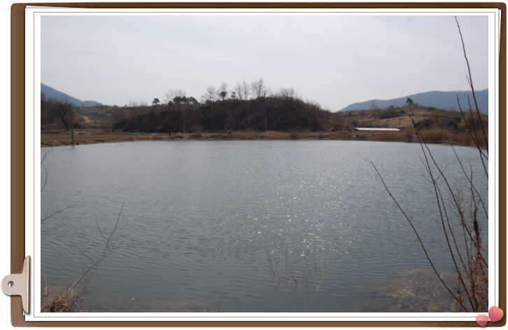 _사진 002_johwang11035826.jpg