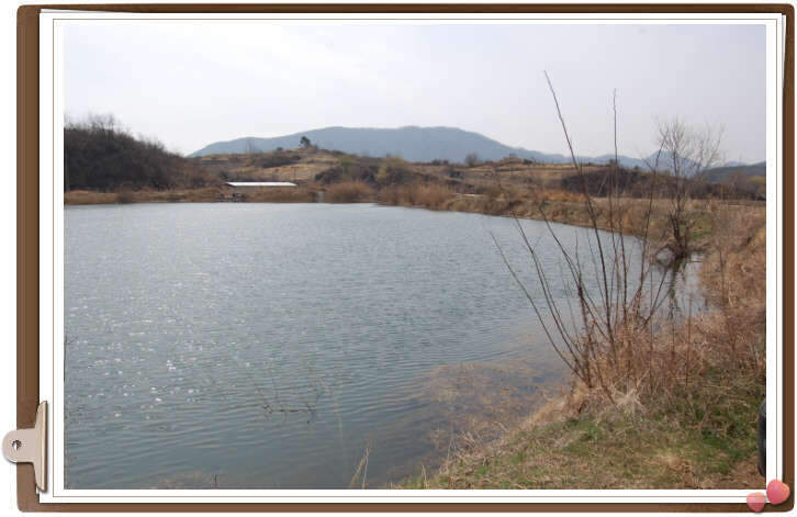_사진 003_johwang11042992.jpg