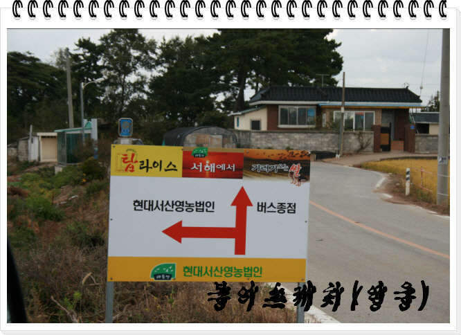 _사진 020_johwang0312284.jpg