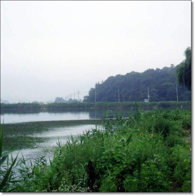 _사진 048_johwang03440255.jpg