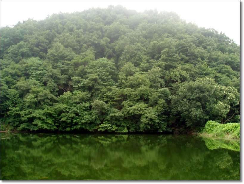 _사진 066_johwang03473424.jpg
