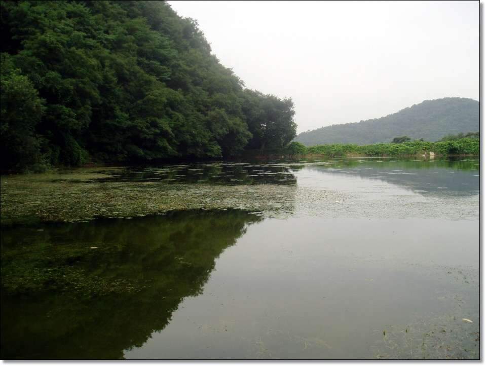 _사진 074_johwang03483444.jpg