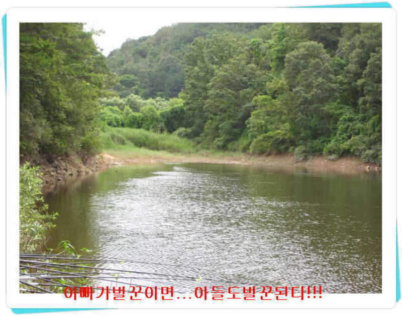 _효령최상류_johwang04095326.jpg