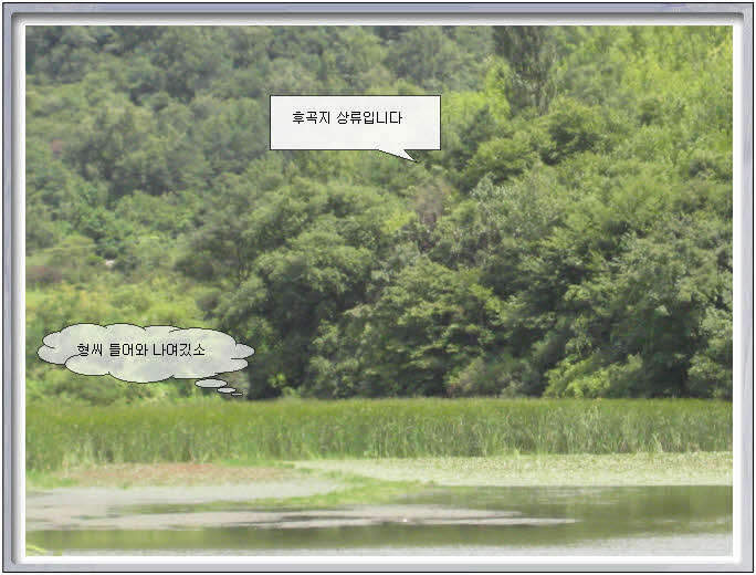 _0807257사진 022_johwang04360745.jpg