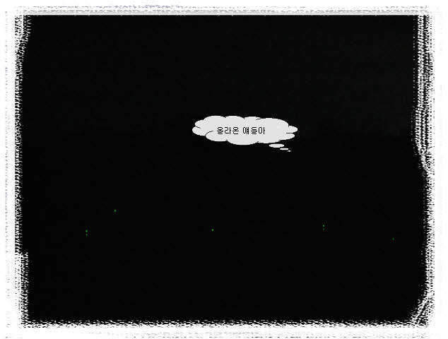 _0807257사진 039_johwang04433542.jpg