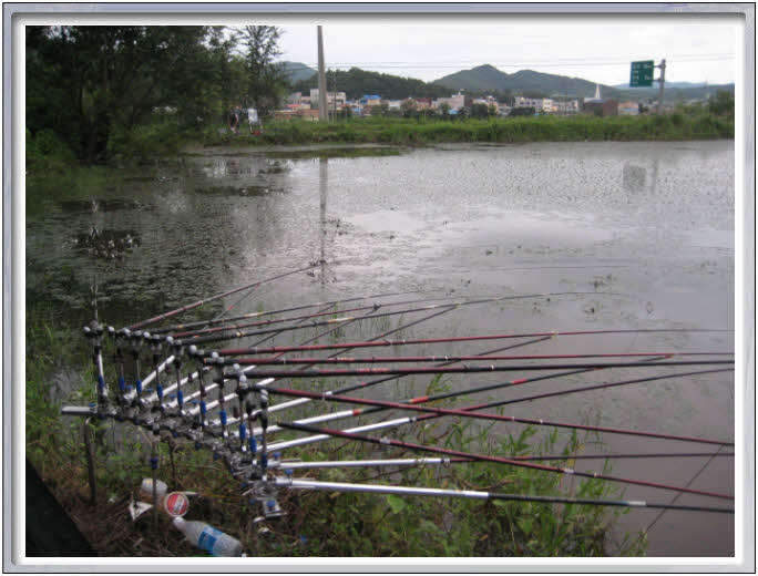 _0807257화전지난전_johwang0423534.j